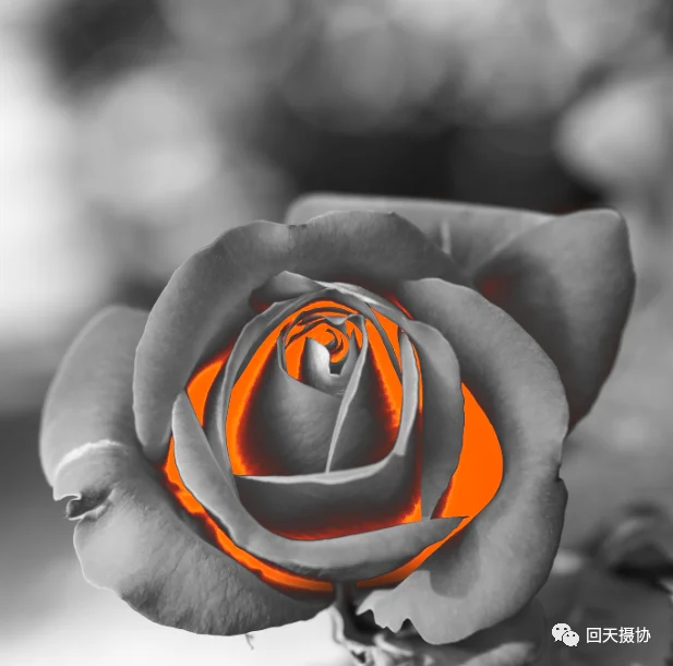 火焰效果，用PS把玫瑰燃烧起来_www.haoyidiansheji.com