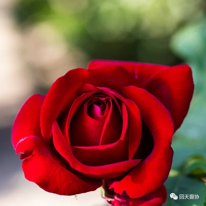 火焰效果，用PS把玫瑰燃烧起来_www.haoyidiansheji.com