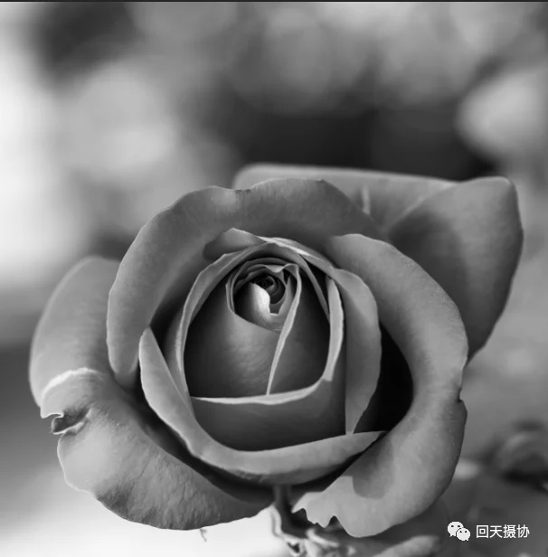 火焰效果，用PS把玫瑰燃烧起来_www.haoyidiansheji.com