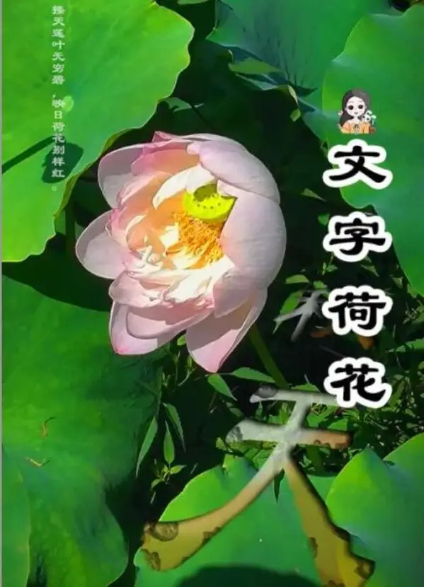 文字制作，用手机照片设计文字创意图片的方法_www.haoyidiansheji.com