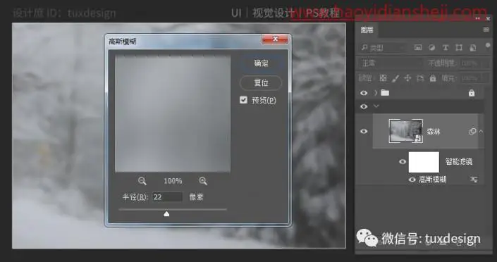 创意合成，通过PS合成一幅猫虎大战一触即发的场面_www.haoyidiansheji.com