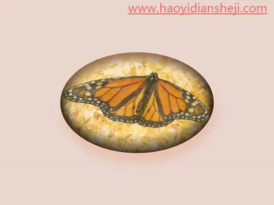 石头效果，用PS制作一枚逼真的蝴蝶化石_www.haoyidiansheji.com