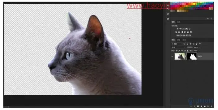 创意合成，在PS中制作长有猫头的猫头鹰_www.haoyidiansheji.com