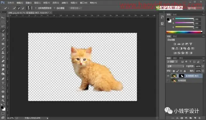 抠动物，快速抠取猫咪的毛发_www.haoyidiansheji.com
