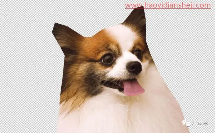 通道抠图，通道PS中的通道抠出可爱的狗狗_www.haoyidiansheji.com