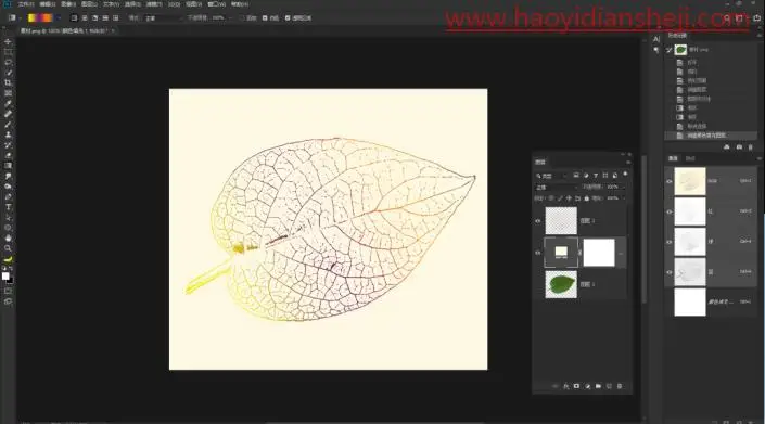 树叶剪影，通过PS提取树叶的脉络_www.haoyidiansheji.com