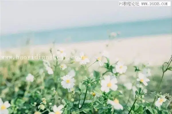 胶片色，用PS调出静物日系胶片效果_www.haoyidiansheji.com