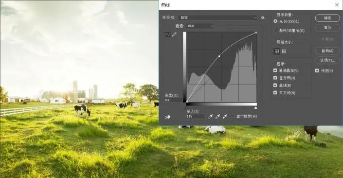 工具教程，曲线工具的使用技巧_www.haoyidiansheji.com