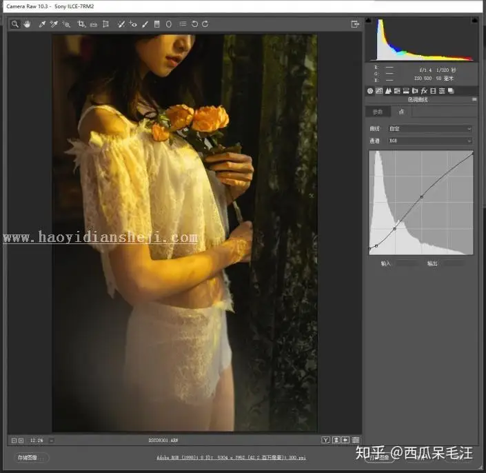 人像后期，用PS营造朦胧复古私房照片_www.haoyidiansheji.com