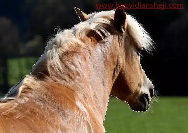 魔幻合成，合成一幅超强的唯美恢弘的魔幻场景_www.haoyidiansheji.com