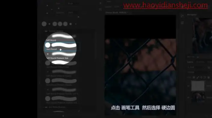 去网纹，快速高效的去除图中挡住动物的铁丝网_www.haoyidiansheji.com