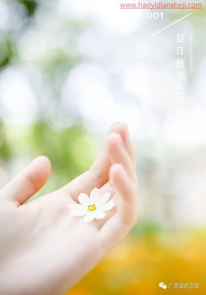 LR调色教程，用LR把夏天的颜色以图片的样式呈现出来_www.haoyidiansheji.com