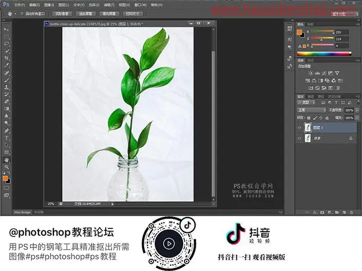 钢笔抠图，用PS中的钢笔工具精准抠出所需图像_www.haoyidiansheji.com