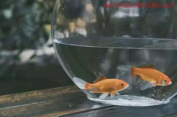 胶片色，调出阴天清新日系胶片色调_www.haoyidiansheji.com