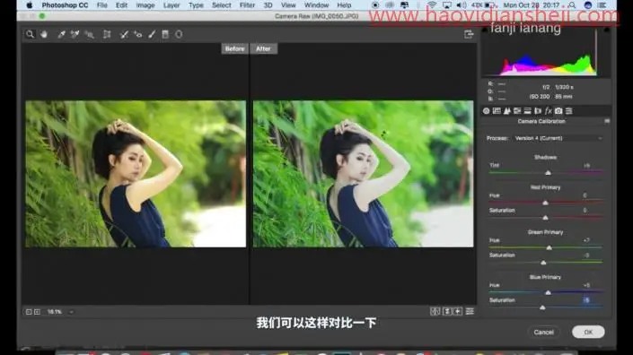 清新人像，在PS中打造夏日小清新人像后期调色_www.haoyidiansheji.com