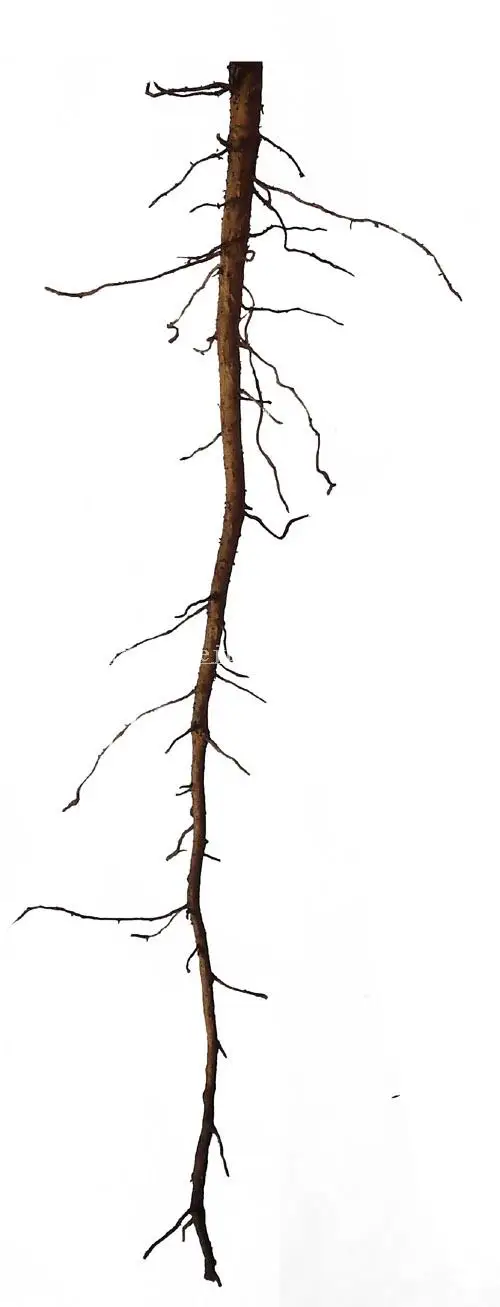 www.haoyidiansheji.com_041U04C5-25.jpg