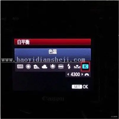 LR调色教程，通过LR给人像营造安静忧郁的文艺风色调_www.haoyidiansheji.com