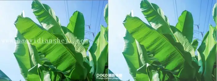LR风景调色，调出夏天小清新照片的味道_www.haoyidiansheji.com