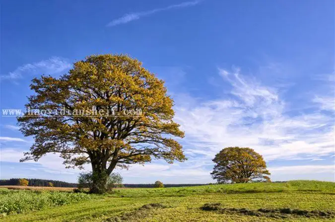 背景橡皮擦，用背景橡皮擦教你换风景照背景_www.haoyidiansheji.com