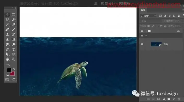 梦幻合成，用PS和深海海龟的夜游旅行_www.haoyidiansheji.com