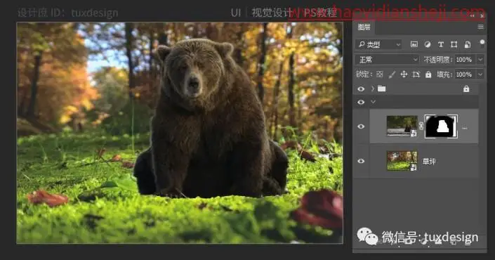 奇幻合成，制作小女孩和她的黑熊在森林里的奇幻场景_www.haoyidiansheji.com