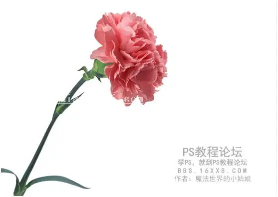 商品海报，眼镜广告图片制作教程_www.haoyidiansheji.com