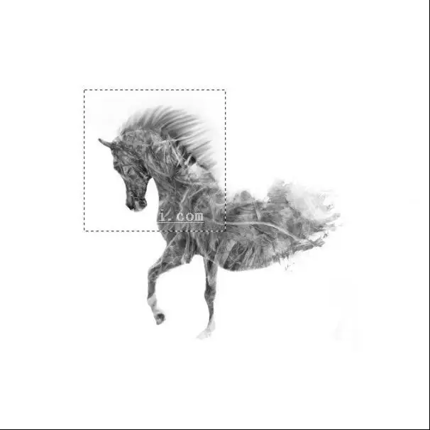 插画制作，在PS中建一个艺术马插画_www.haoyidiansheji.com