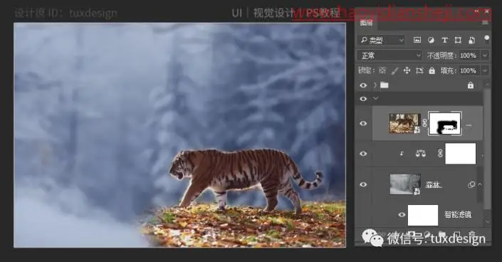 创意合成，通过PS合成一幅猫虎大战一触即发的场面_www.haoyidiansheji.com