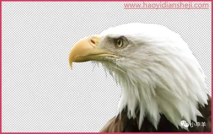 抠鸟类，用PS抠出翱翔蓝天的雄鹰_www.haoyidiansheji.com