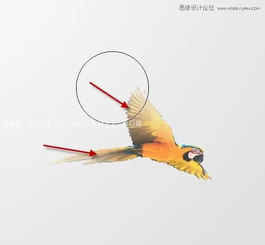 场景合成，通过PS合成抽象风格的艺术插画_www.haoyidiansheji.com