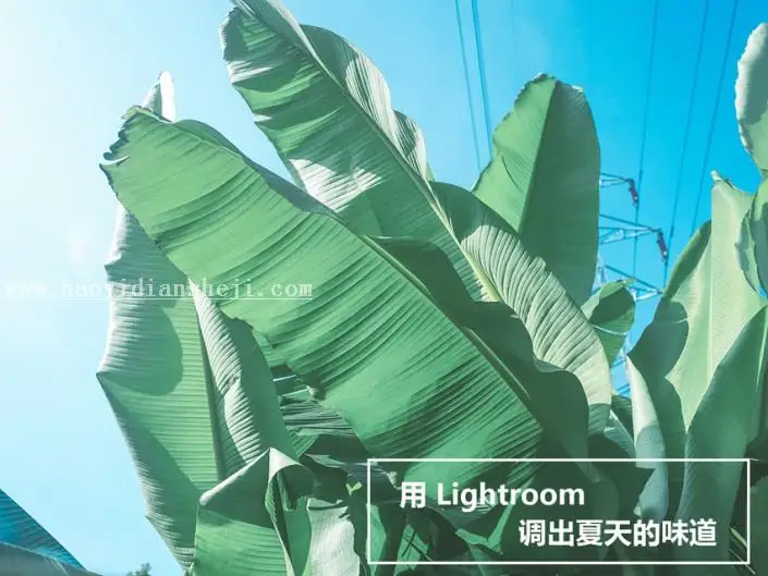 LR风景调色，调出夏天小清新照片的味道_www.haoyidiansheji.com