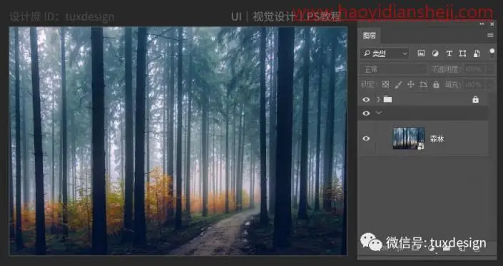 创意合成，制作一条红鱼穿梭森林的奇幻照片_www.haoyidiansheji.com