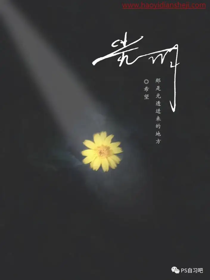 光束效果，制作阳光照射到花朵上面的效果_www.haoyidiansheji.com