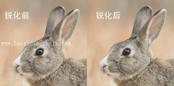 锐化教程，用实例讲解照片锐化的作用_www.haoyidiansheji.com