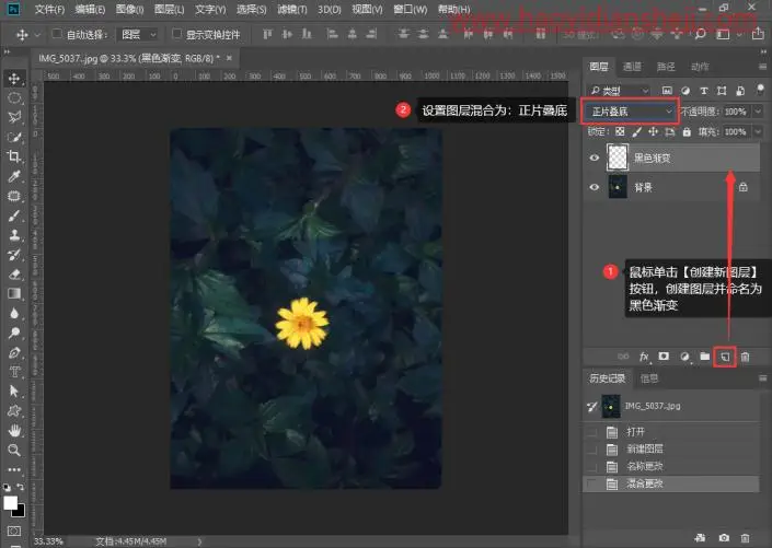光束效果，制作阳光照射到花朵上面的效果_www.haoyidiansheji.com
