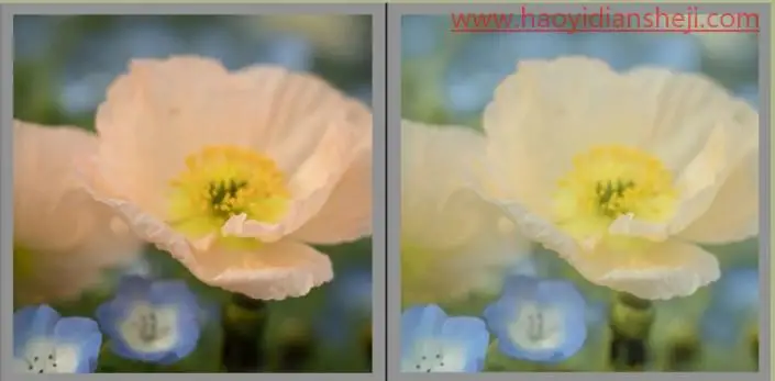 后期调色，通过PS打造莫奈温柔系色调的照片_www.haoyidiansheji.com