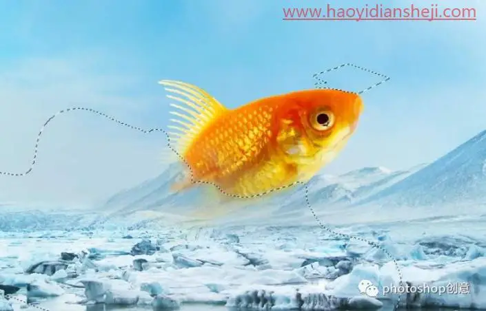 创意合成，合成冰冻特效的金鱼场景_www.haoyidiansheji.com