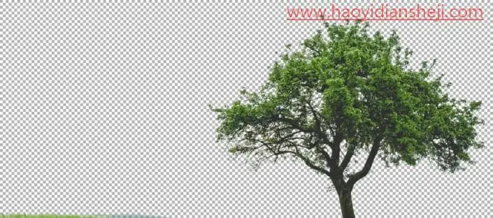 快速抠图，一分钟抠出繁琐的树木枝叶_www.haoyidiansheji.com