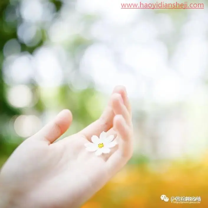 LR调色教程，用LR把夏天的颜色以图片的样式呈现出来_www.haoyidiansheji.com