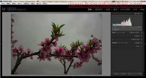 LR静物调色，用PS给静物风景照片调出更加丰富的颜色_www.haoyidiansheji.com
