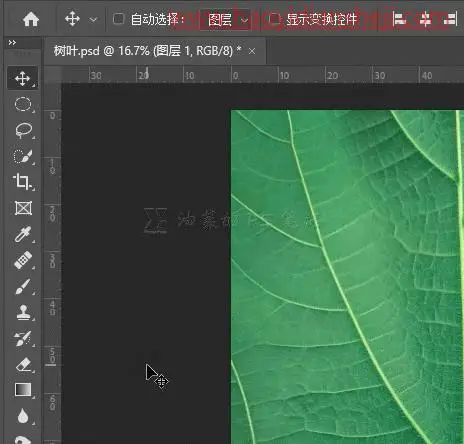 水滴效果，给树叶制作逼真的水滴效果_www.haoyidiansheji.com