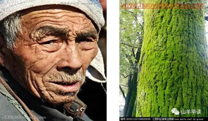人像恶搞，制作比较搞怪的人树结合场景_www.haoyidiansheji.com