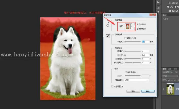 换背景，通过PS给狗狗换背景_www.haoyidiansheji.com