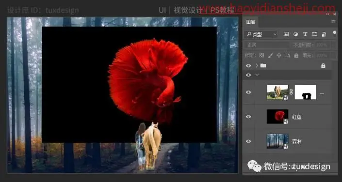 创意合成，制作一条红鱼穿梭森林的奇幻照片_www.haoyidiansheji.com