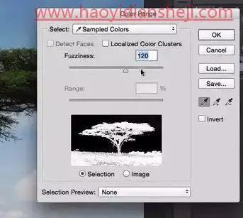 抠大树，用色彩范围抠出背景复杂的树_www.haoyidiansheji.com