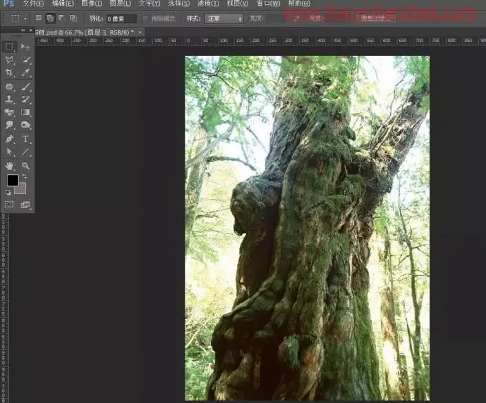 创意合成，合成一张老人与树在一起的奇幻场景_www.haoyidiansheji.com