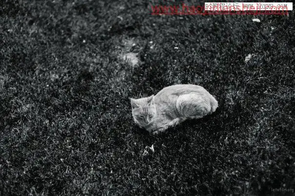 黑白效果，用专业的PS做专业的黑白效果照片_www.haoyidiansheji.com