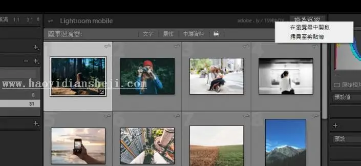 LR技巧，在LR集合照中生成网址分享_www.haoyidiansheji.com
