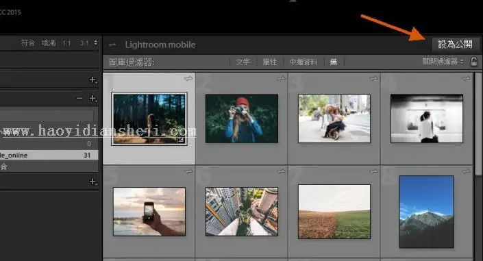 LR技巧，在LR集合照中生成网址分享_www.haoyidiansheji.com