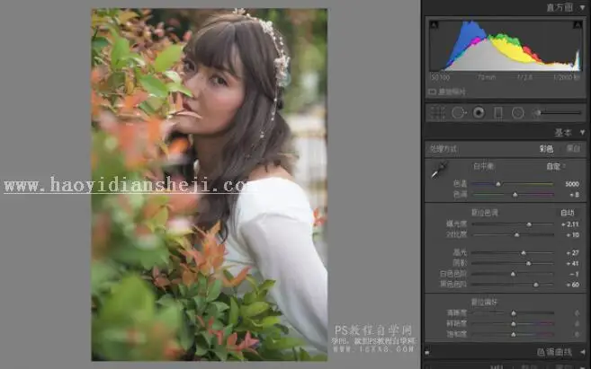 LR调色教程，用LR打造风靡全网的ins欧美范人像_www.haoyidiansheji.com